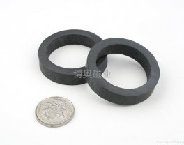 Ring ferrite magnet